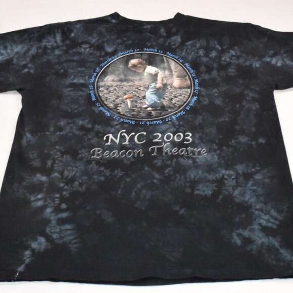 Vintage 2003 Allman Brothers Band (hittin' the note) Beacon Theatre NYC T shirt - Picture 2 of 6